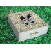 Luxurious Woodsy Set - Box EO 